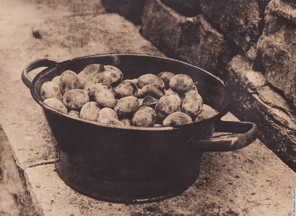 Kok 1200 Autumnal Fruits I