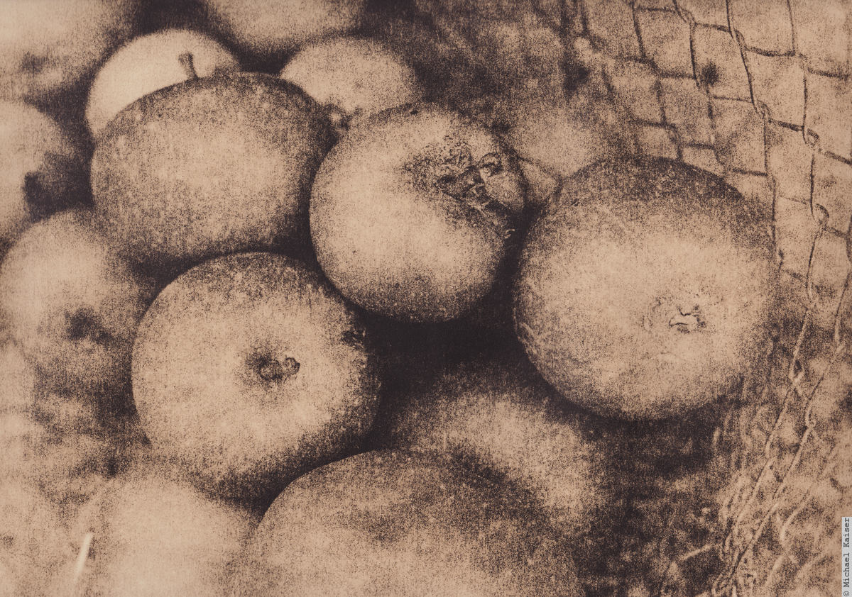 Kok 1200 Autumnal Fruits II