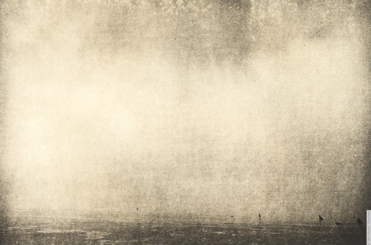 Walkin' the dog in the fog